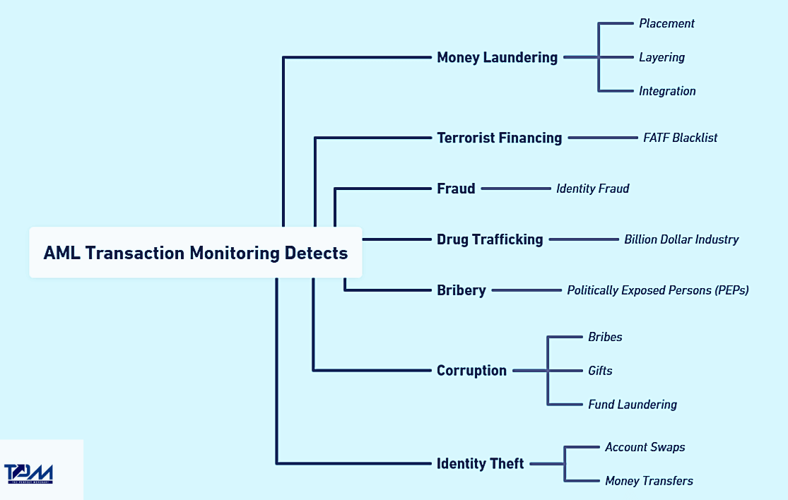 AML transaction monitoring