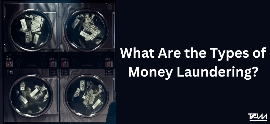 What Are the Types of Money Laundering